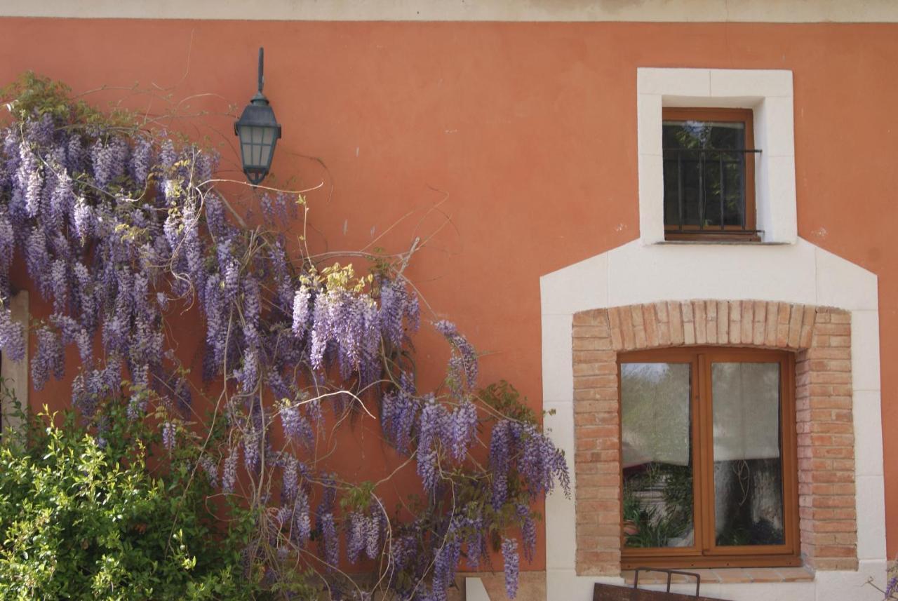 Bed and Breakfast Le Bourguet Solliès-Pont Esterno foto